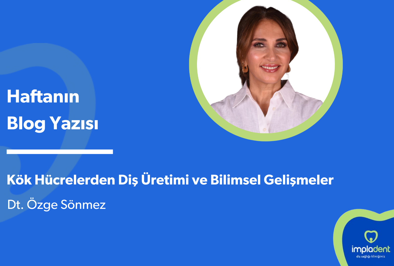 Kök Hücrelerden Diş Üretimi ve Bilimsel Gelişmeler